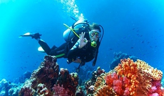 和我们一起你将拥有最好的装备